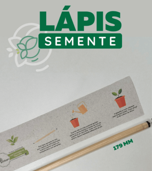 Lápis Semente | Produto Sustentável