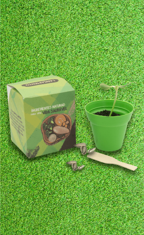 Kit Ecológico - Ecobox Cultivo