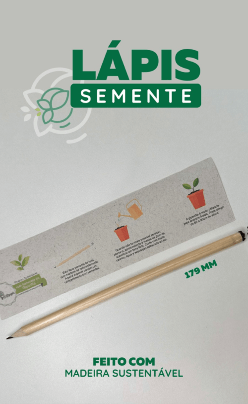 Lápis Semente | Produto Sustentável
